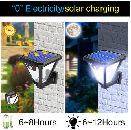 Solar Garden Light With Remote control